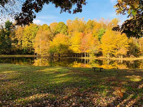 Lynchburg Blue Ridge Parkway Koa Reviews Photos