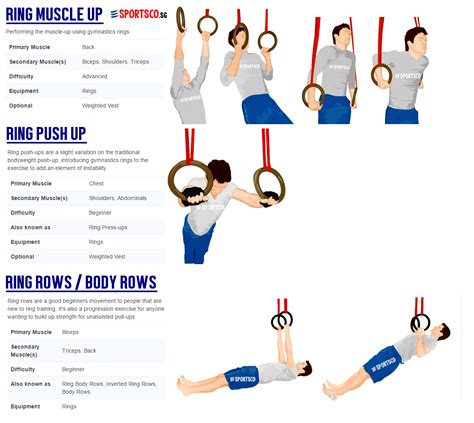 basic gymnastics exercises