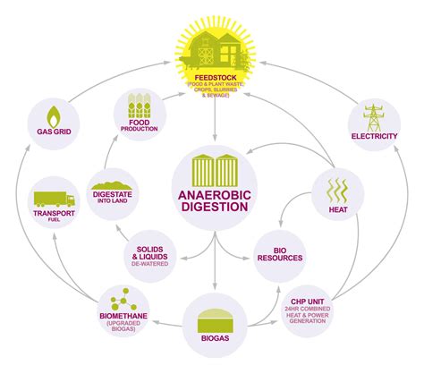 From Biogas To Bioresources Why Adba Has Widened Its Remit Adba