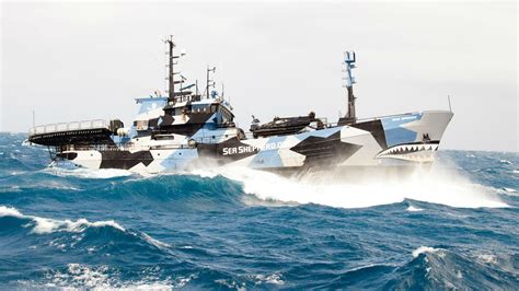 Seabloom Sassocie Avec Sea Shepherd Pour Protéger Et Conserver