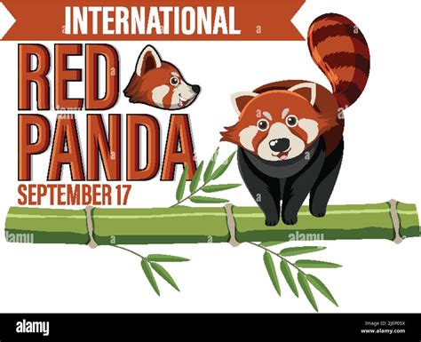 International Red Panda Day Illustration Stock Vector Image And Art Alamy