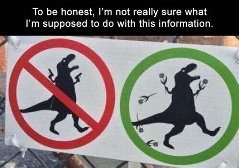 Fresh out of the oven, 2013. Fresh Animal Memes, Fresh From The Internet Oven | Funny ...
