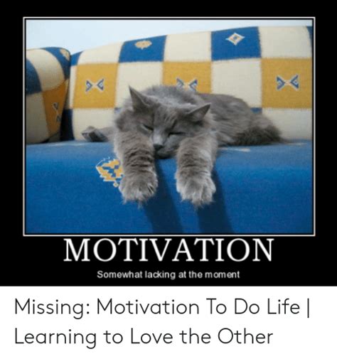 Motivation Somewhat Lacking At The Moment Missing Motivation To Do Life