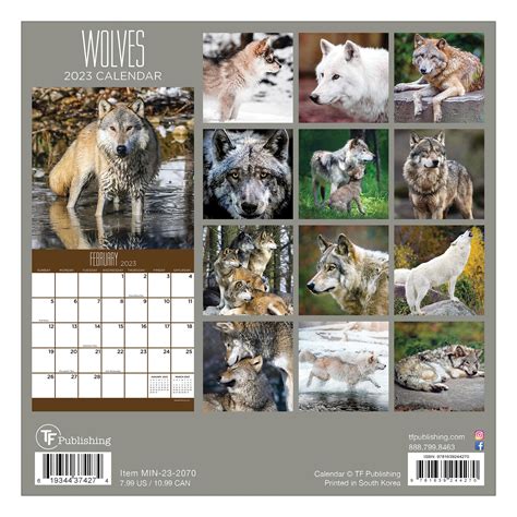 Tf Publishing 2023 Wolves Mini Calendar In 2022 Mini Calendars Mini