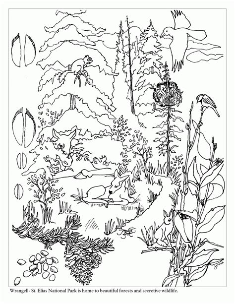 Free Free Woodland Creature Coloring Pages Download Free Free Woodland