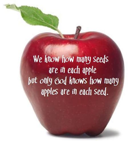 We Know How Many Seeds Are In Each Apple But Only God Knows How Many