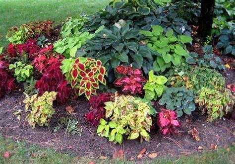 Shade Garden Design Ideas How To Choose The Right Plants Hosta