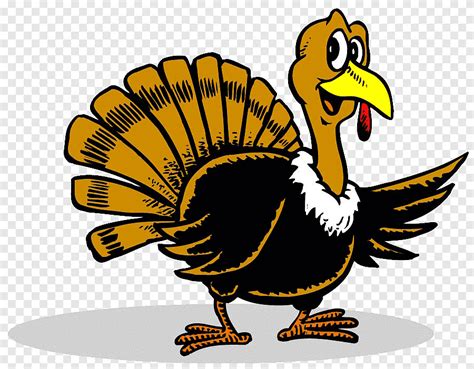 Plymouth Rock Thanksgiving Turkey Cartoon Free Turkey S Chicken Galliformes Png Pngegg