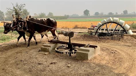 Rahat Water Lifting Persian Wheel Irrigation Method Old