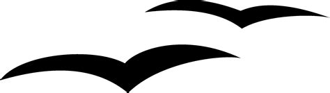 seagull clipart png 20 free Cliparts | Download images on Clipground 2022