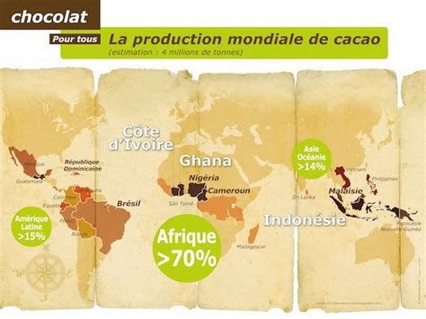 Chocolat Pour Tous La Production Mondiale De Cacao