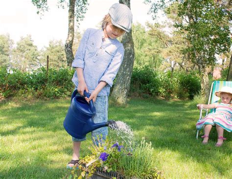 🚰 mittskåne vatten har fattat ett beslut om bevattningsförbud i höör och hörby. Bevattningsförbud råder på Bjärehalvön » bjarenu.se