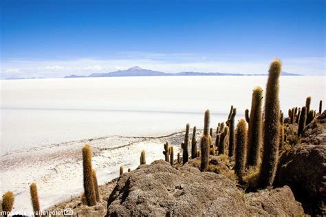 As 10 Principais Atracções Turísticas Da Bolívia Gastei Com Viagem
