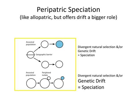 Ppt Geography Of Speciation Powerpoint Presentation Free Download