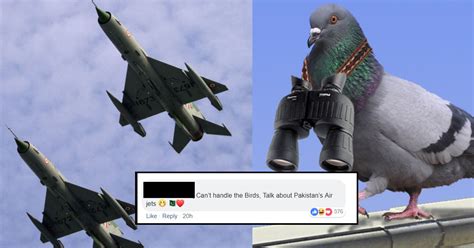 February 27, 2019 homelatestpakistanvideo of indian fighter jets shot down by pakistan in a befitting response to indian aggression, two indian air force. Indian Airforce MiG-21 Crashes After Bird Hit|Pink.Parhlo.com