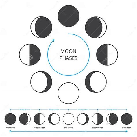 Moon Phases Icons Stock Vector Illustration Of Science 170909870