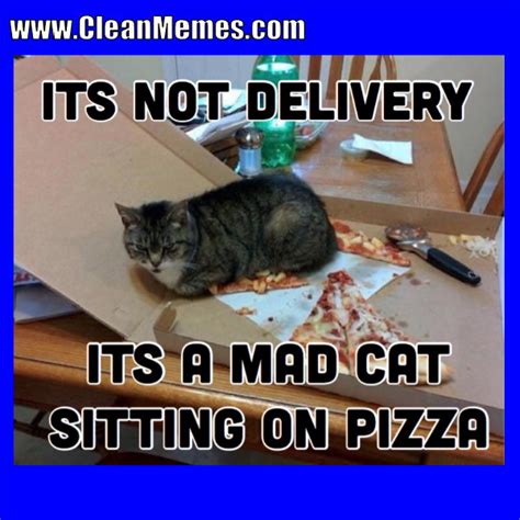 For that reason, we're sure you'll enjoy these 55. Cat Memes - Page 3 - Clean Memes