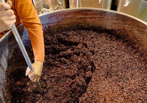 How Wine Is Made The Basics Of Winemaking Winelovermagazine