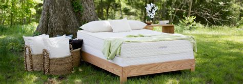 Natural and organic mattresses are just what they sound like. 19 Non-Toxic, Eco-Friendly Mattresses for Every Budget