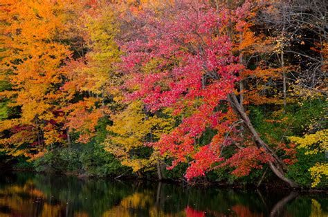 44 New England Fall Foliage Wallpaper On Wallpapersafari