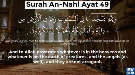 Surah An Nahl Ayat 49 1649 Quran With Tafsir My Islam