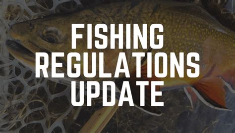 Fishing Regulations Updated Fly And Field Outfitters