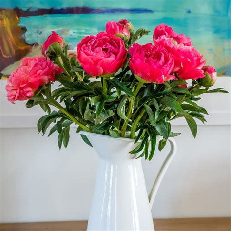 Peonies Coral 20 Stems Fresh Peonies Bouquet Coral Peonies Peony