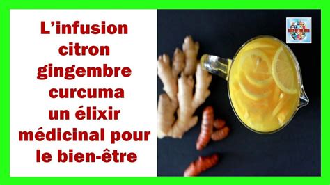 Linfusion Citron Gingembre Curcuma Un élixir Médicinal Pour Le Bien