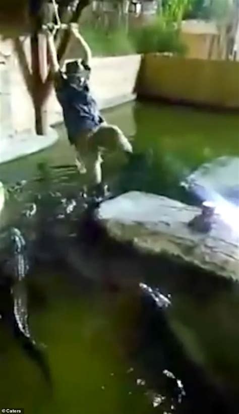 Man Falls Into A Pool Of Alligators After His Rope Swing Snaps But He