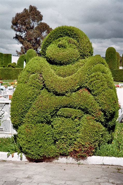 Topiary How To Make It And Use The Frames Hubpages