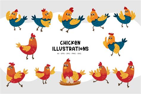 Chicken Illustrations