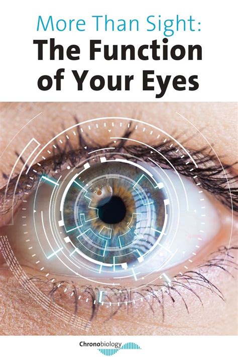 Your Eye Is A Complex Organ Made Up Of Several Parts Each Playing An
