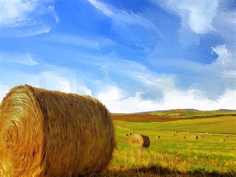Hay Bales 2 Painting By Dominic Piperata Fine Art America