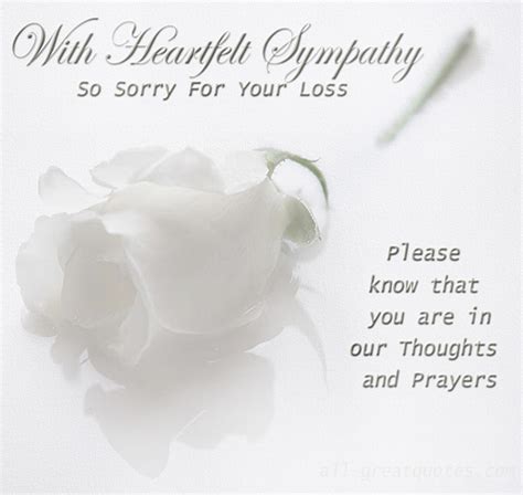 Sorry For Your Loss Quotes Quotesgram