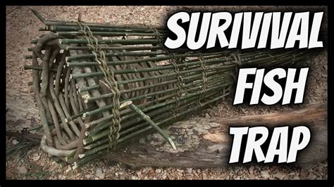 The Best Survival Fish Trap Youtube