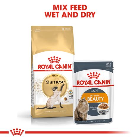 Buy Royal Canin Siamese Adult Dry Cat Food Online Better Prices At