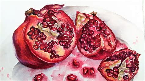 Live Pomegranate In Watercolor Painting Tutorial 12 30 Pm Friday Dec 1