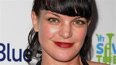 Ncis Pauley Perrette Accused Of Stalking By Ex Husband