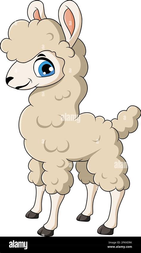 Cute Llama Animal Cartoon Illustration Stock Vector Image And Art Alamy
