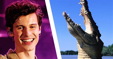 Shawn Mendes Takes A Bath As A Reptile In Lyle Lyle Crocodile