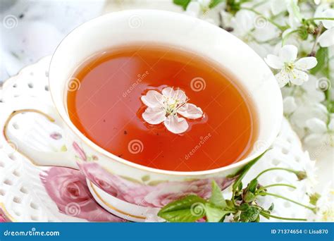 Jasmine Tea With Jasmine Herb Flower Stock Photo Image Of Herb