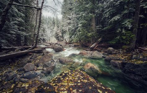 Wallpaper Autumn Forest River Images For Desktop Section природа