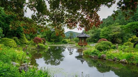 Garden Of Morning Calm A Botanical Garden Paradise In Korea Ktp
