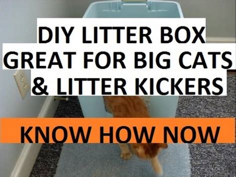 I think people would rather smell just about anything than poo. How to Make a Homemade Cat Litter Box - YouTube