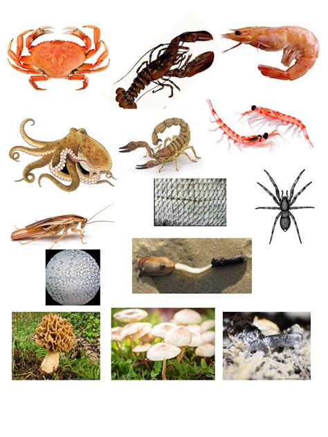 Maybe you would like to learn more about one of these? GLYCOPEDIA