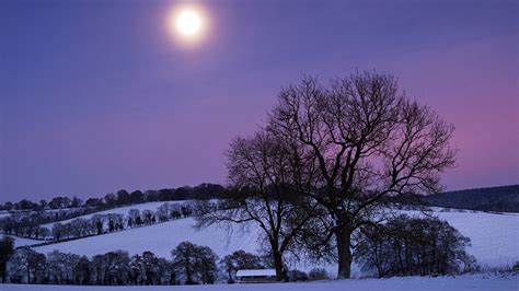1920x1080 1920x1080 Night Purple Trees Sky Snow Winter Moon