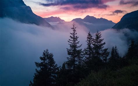 Download Wallpaper 2560x1600 Trees Mountains Clouds Fog Nature