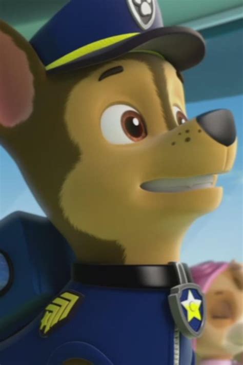 Watch Paw Patrol S1e19 Pups Save A Super Pup Pups Save Ryders