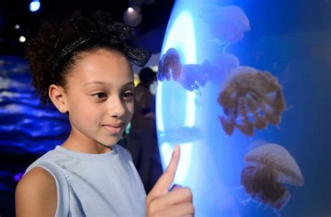 National Sea Life Centre Welcomes Jelly Invaders Boo Roo And Tigger Too
