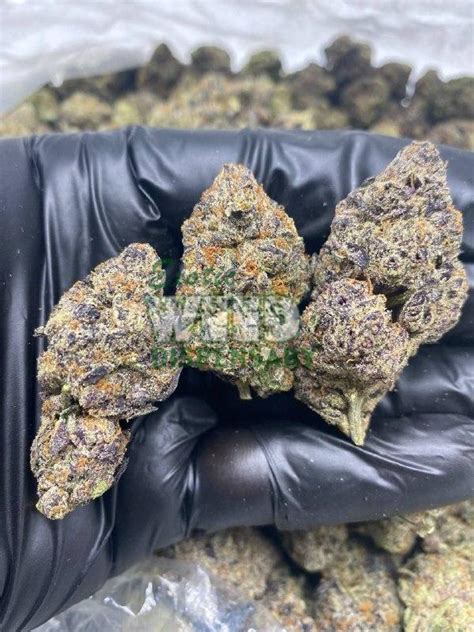 Purple Runtz Strain Exotic Weed Dispensary
